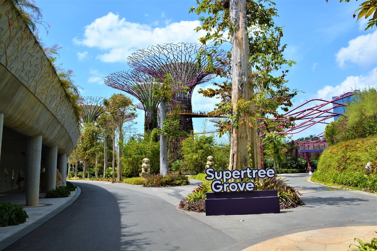Supertree Grove