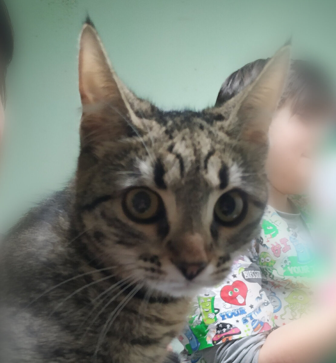 Какие славные кисточки 🐿