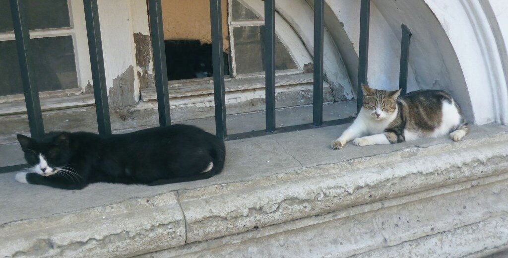 Хранители музея отдыхают у входа в Эрмитаж