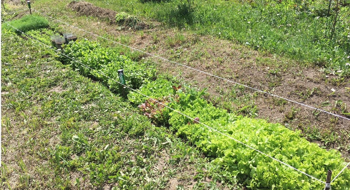 личные фото автора