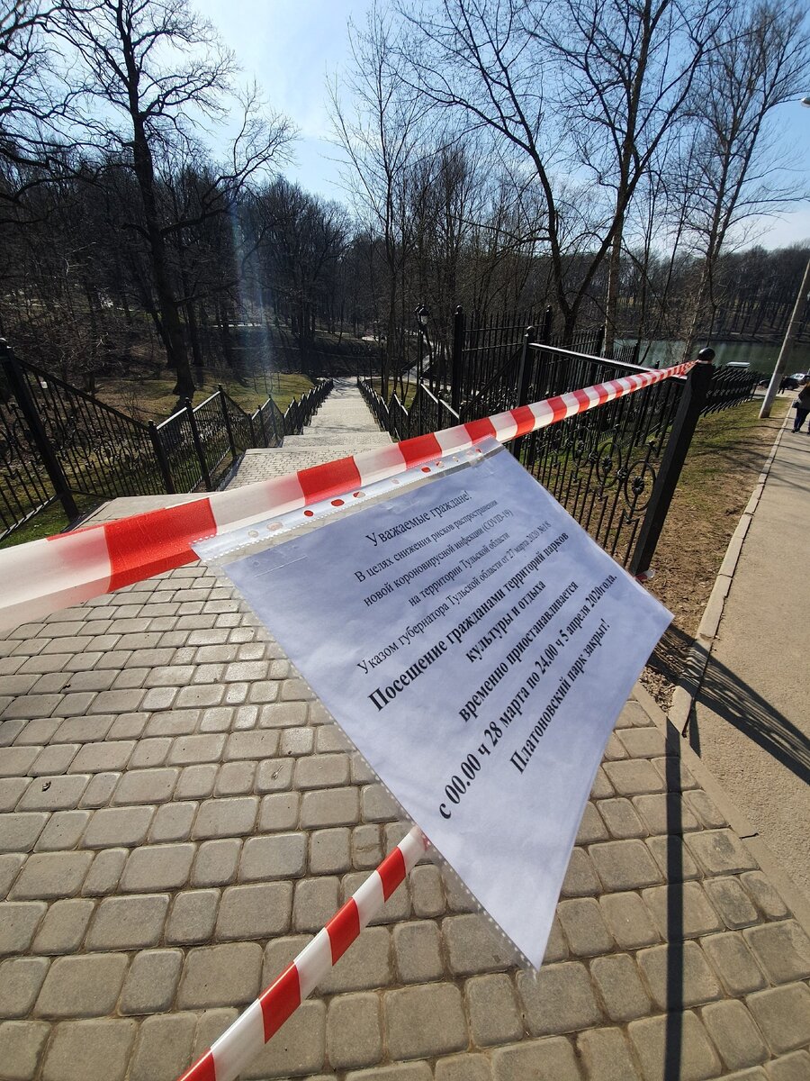 Платоновский лес на карантине
