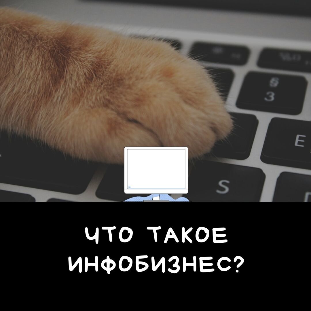                                                                              Котик хочет знать