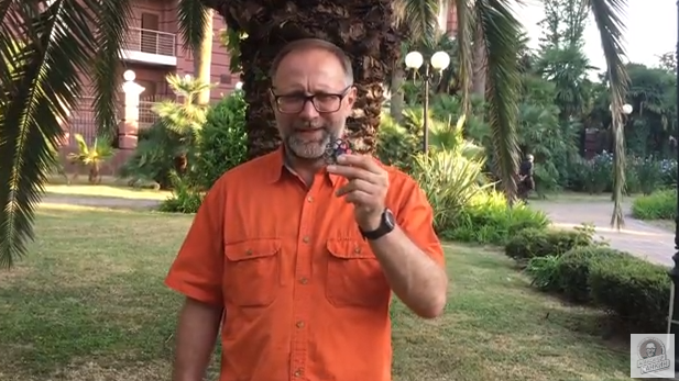 Первый поворот учения Будды 