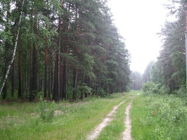 ok.ru/terrasiberica/topic/151373191874692