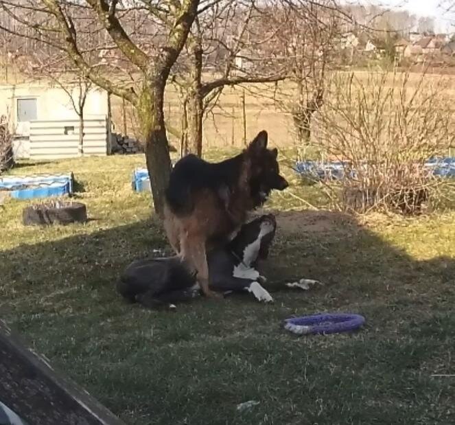 Бесились весь день ))