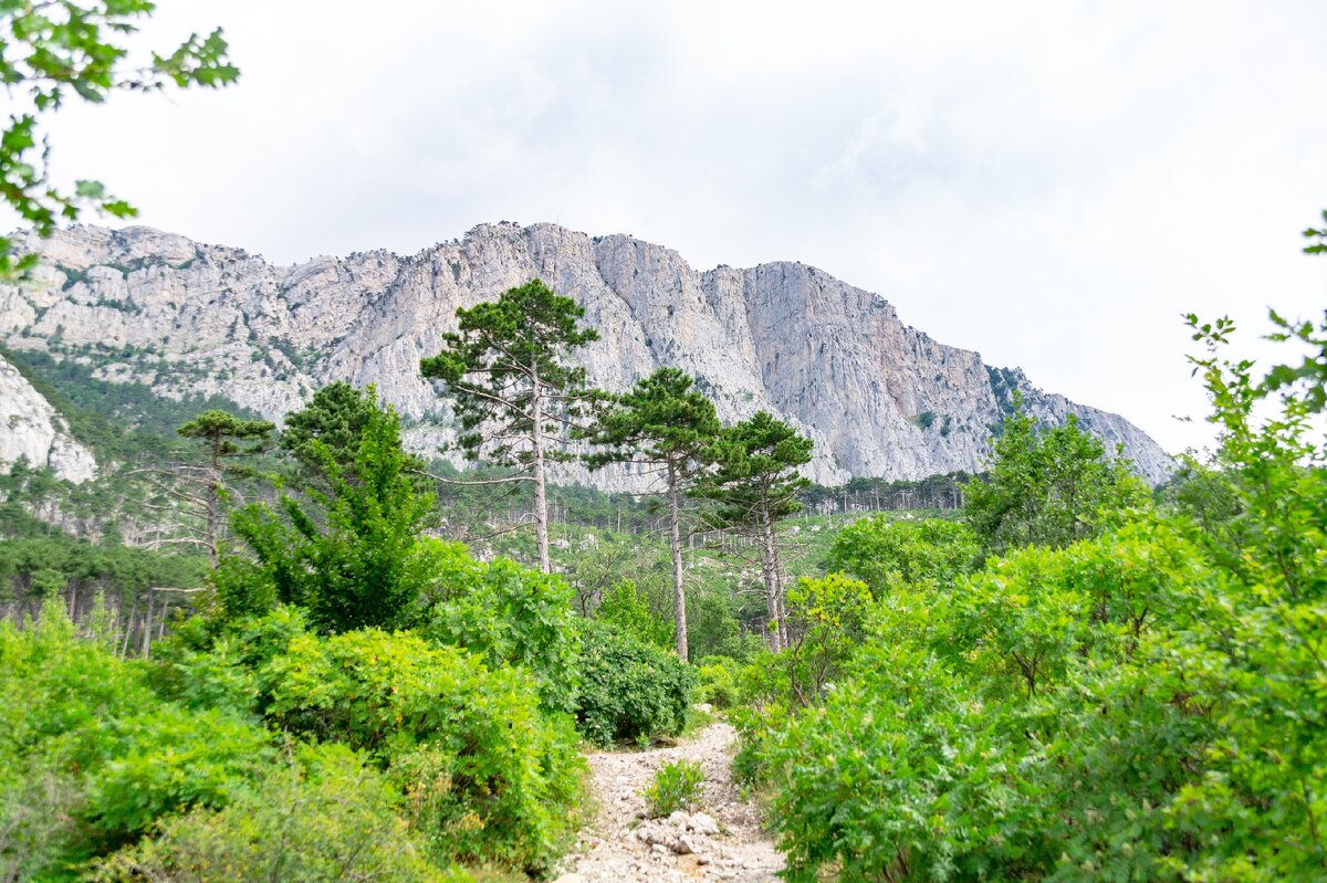 Конная прогулка к горе Шаан Кая