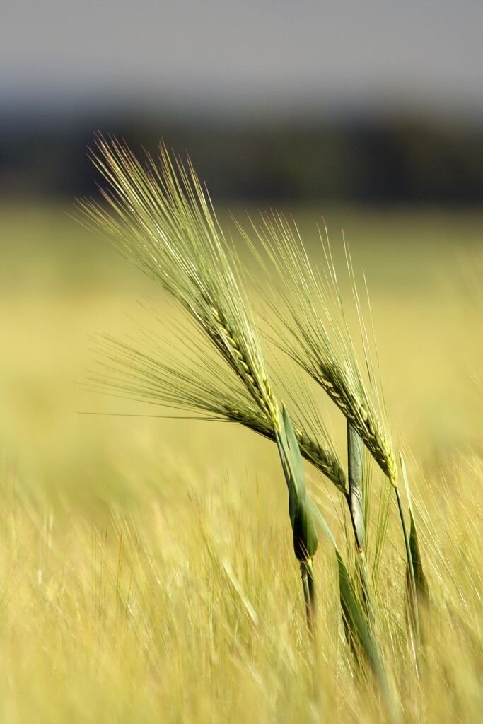 Источник:https://pin.it/7vu9mmk