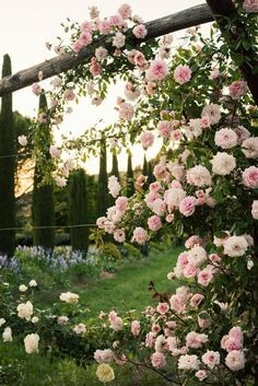 https://www.pinterest.ru/pin/796644621566750211/