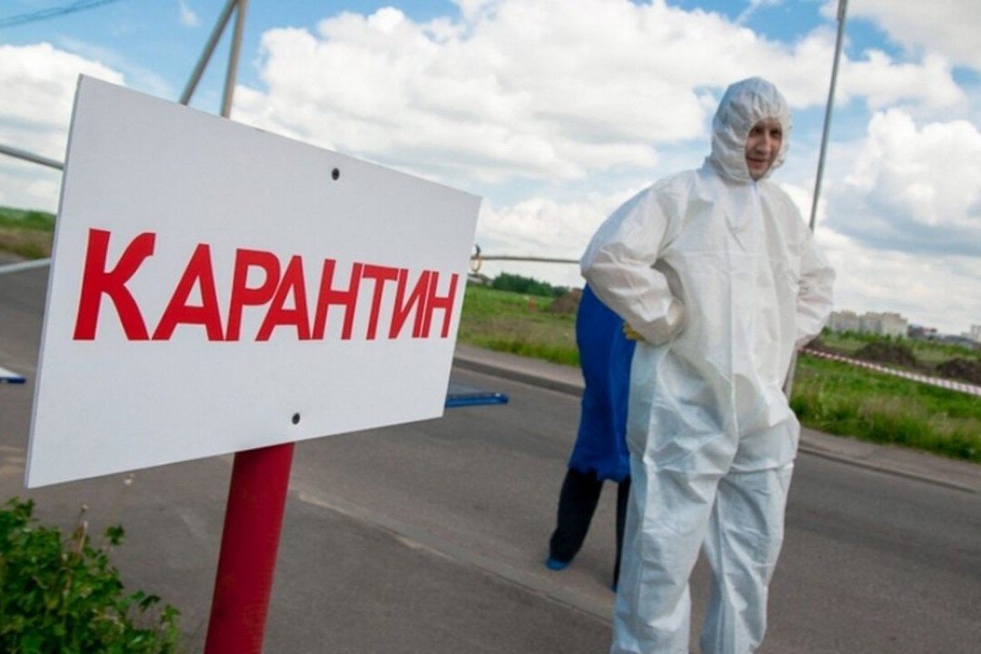 Правила самоизоляции в Москве были продлены до конца мая - до 31 числа