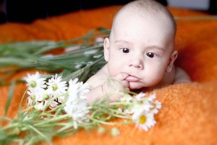 Перед использованием ромашки проконсультируйтесь с педиатром