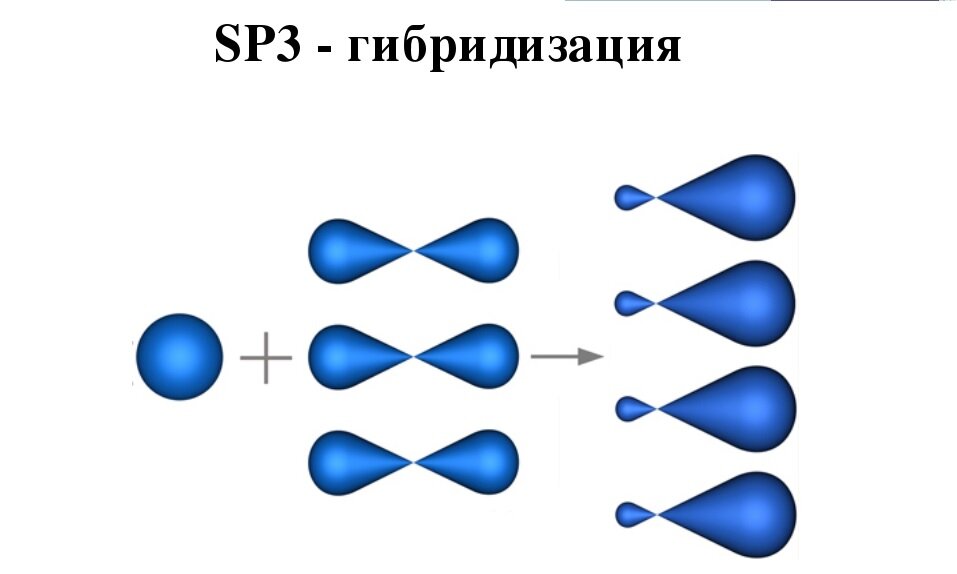 Тип гибридизации sp3. Sp2 и sp3 гибридизация. Орбитали сп3 гибридизации. Sp3 гибридный атом углерода. Сп3 гибридизация алканов.