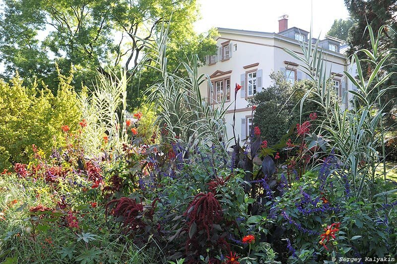 Херманнсхоф