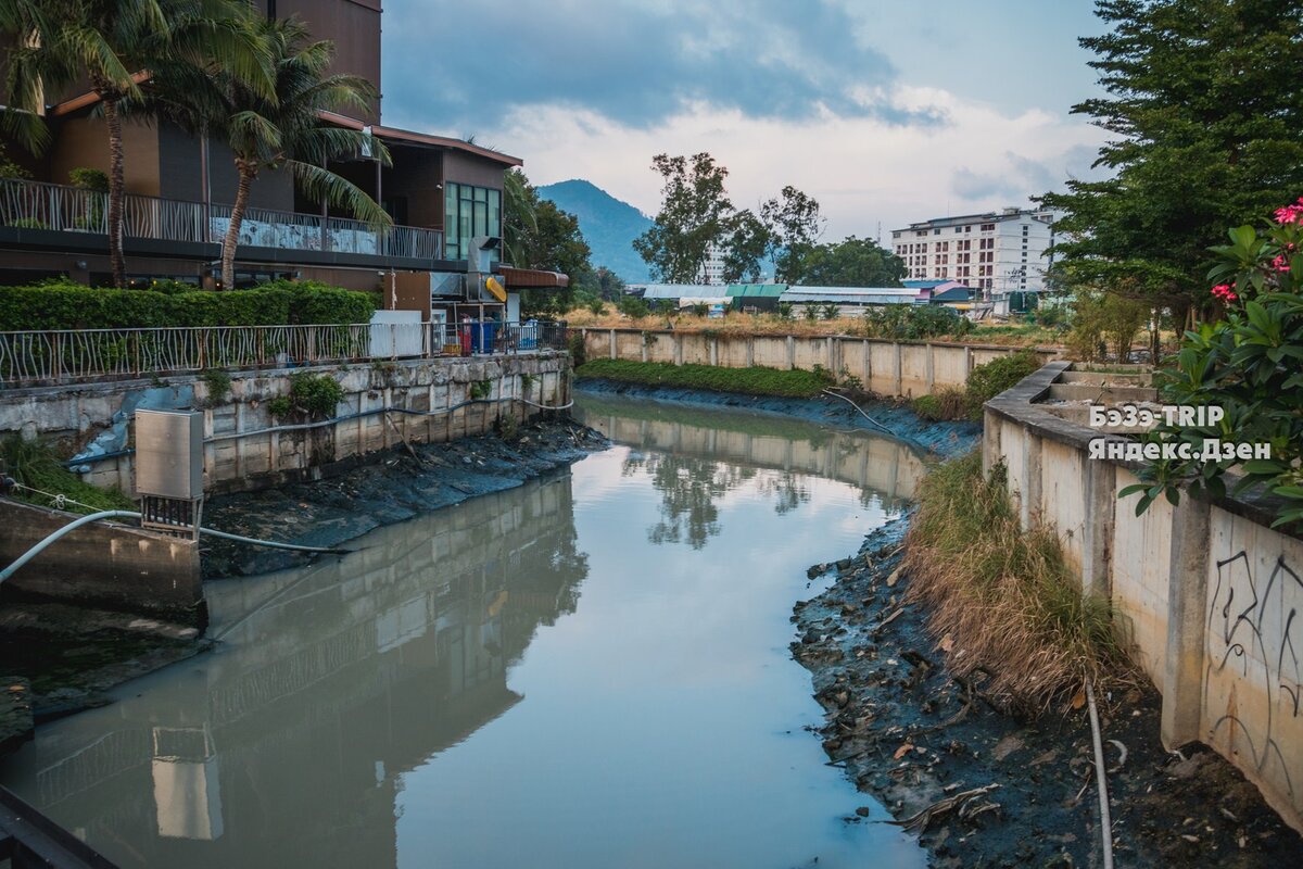 Ругаем свои курорты за грязь, а так ли уж чисто в Таиланде?