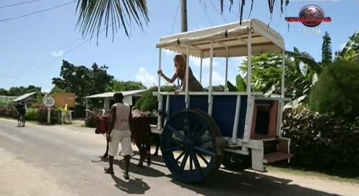 По острову на буйволах