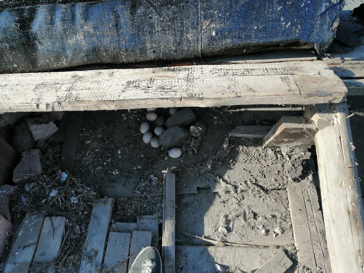 Это было под крышей. 