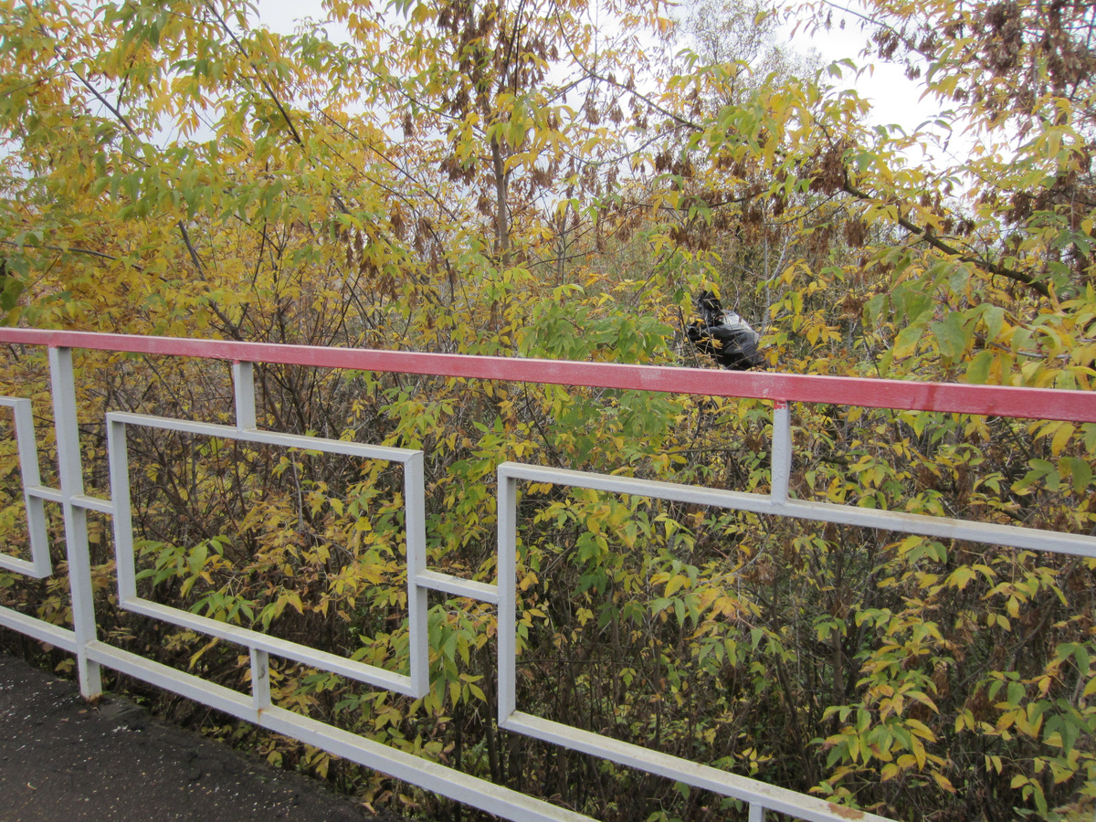 Видите? Почти в центре кадра