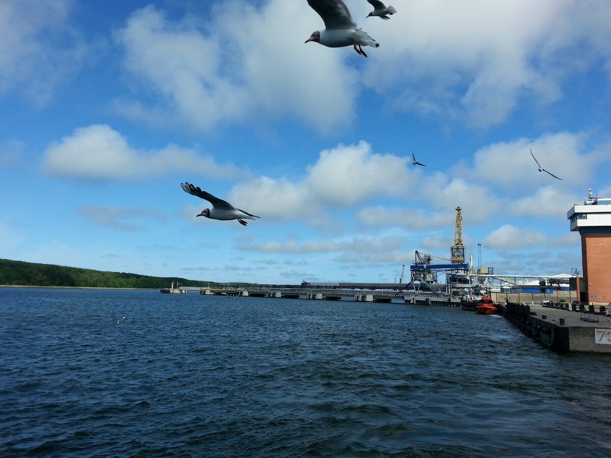 Вид с парома