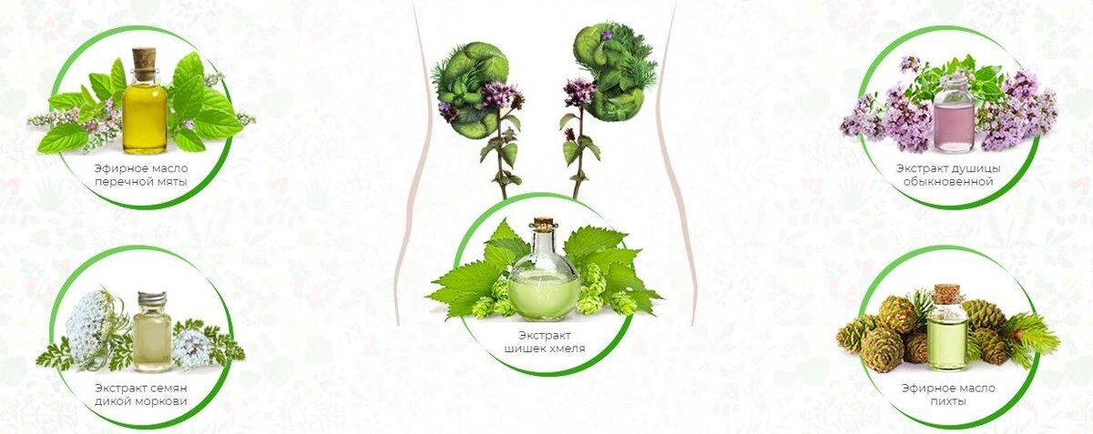 Состав препарата Уролесан