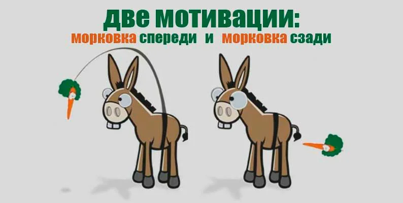 Все мы немножечко ослики. Правда?