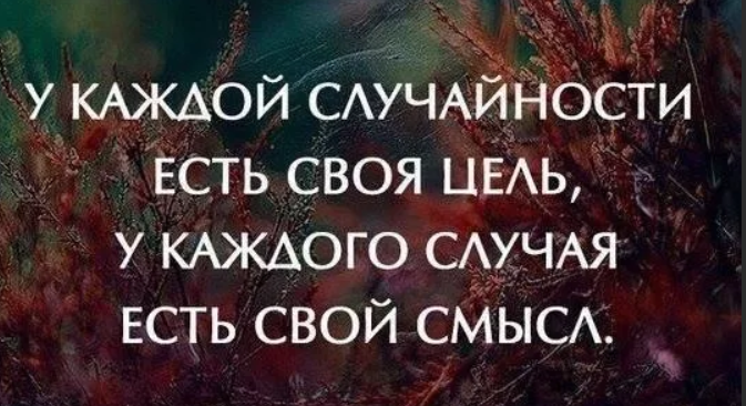 Случайности в этом мире обладают весьма продуманными схемами