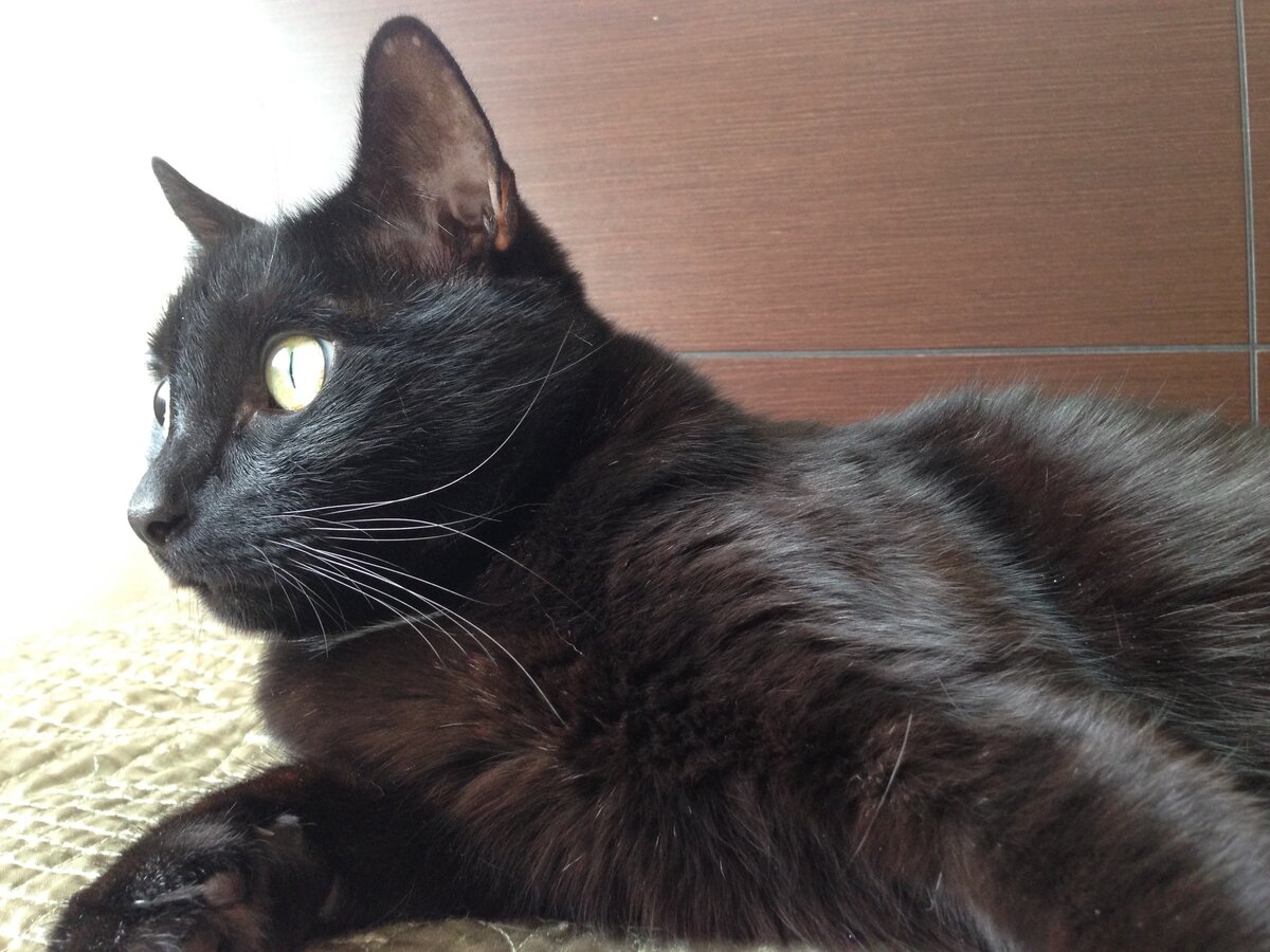 фото из линого архива