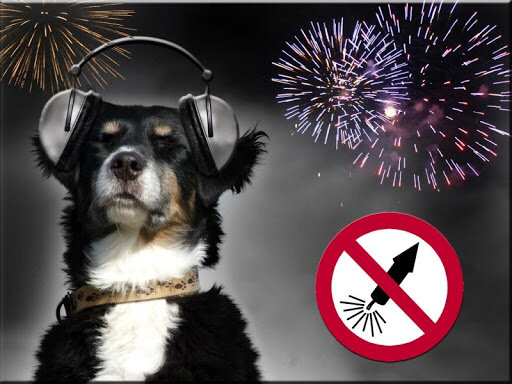 Берегите своих (и не своих) хвостиков