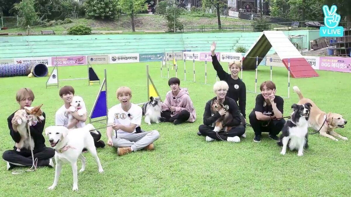 скрин шоу "Run BTS выпуск 23