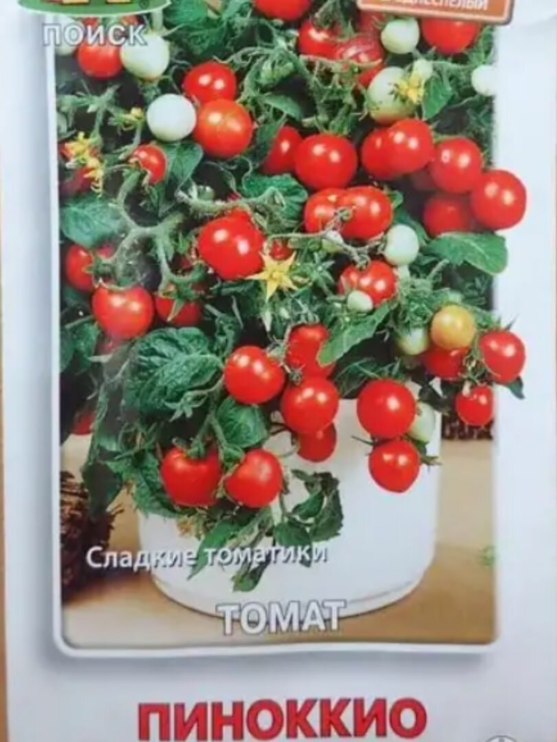 Сорт " Пиноккио".