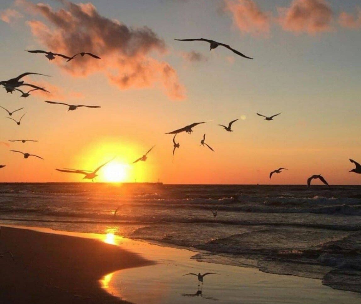 ПОДРОСТКОВЫЕ возрасты считаются наиболее стрессовым периодом для человека...