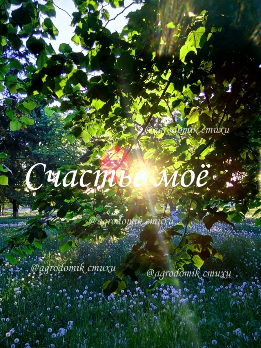 @agrodomik стихи 