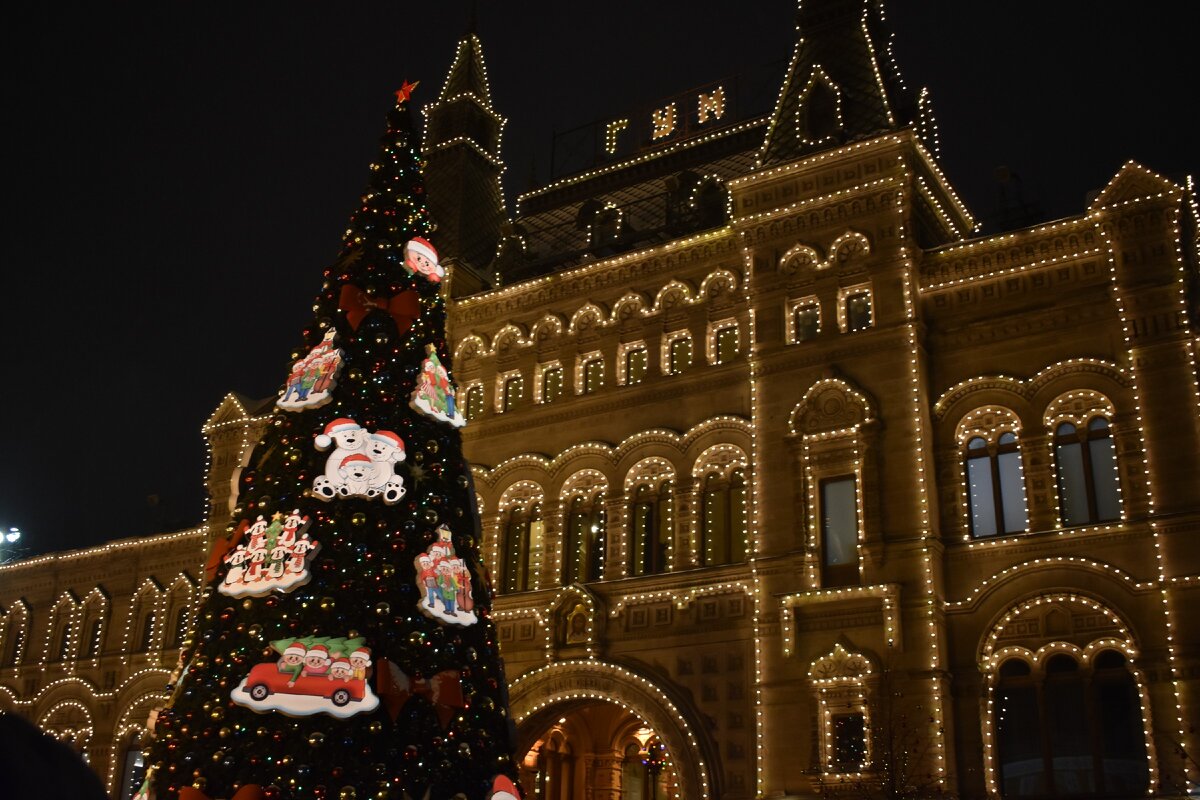 Дизайнерские елки в гуме. Как работает гум 1 января 2024. Новогоднее оформление гума. Гум москва. Кинозал гума.