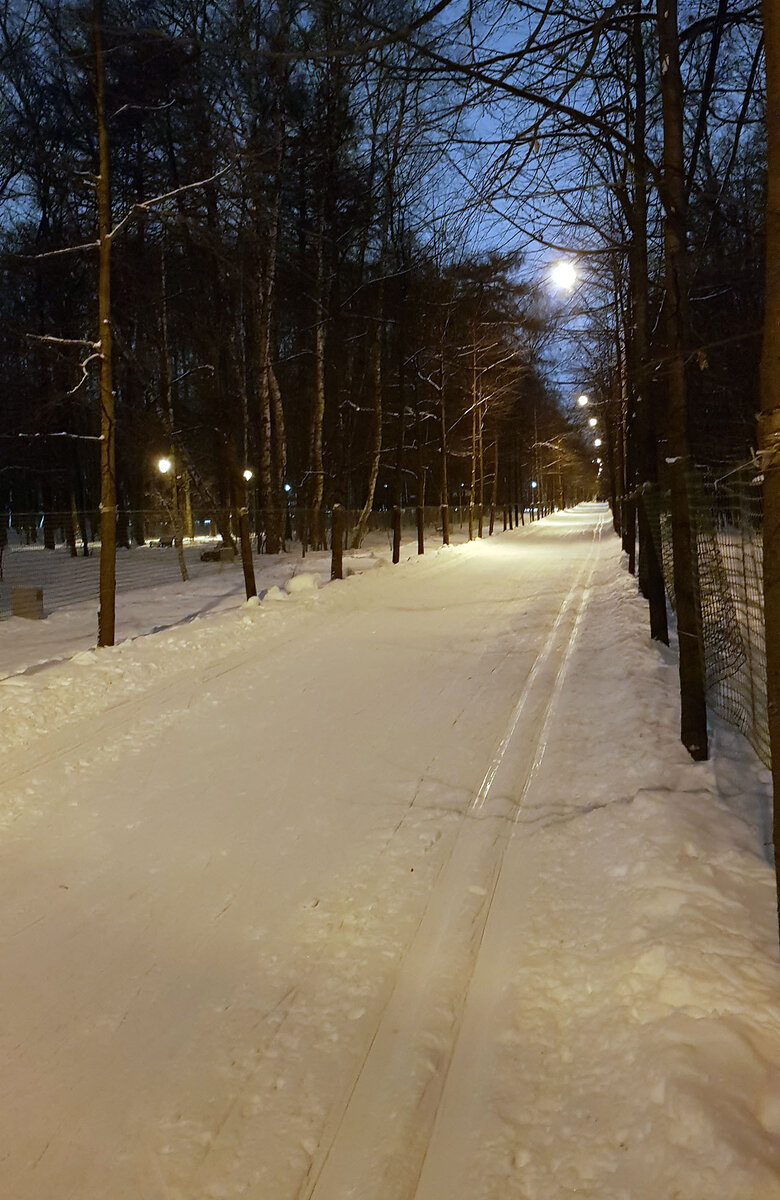 Измайловский парк лыжная тропа