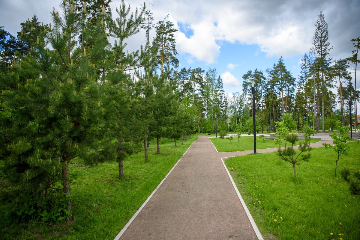 Ольгинский парк в железнодорожном фото