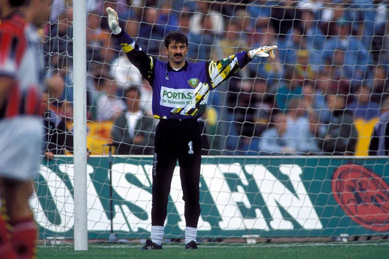 В воротах Динамо.