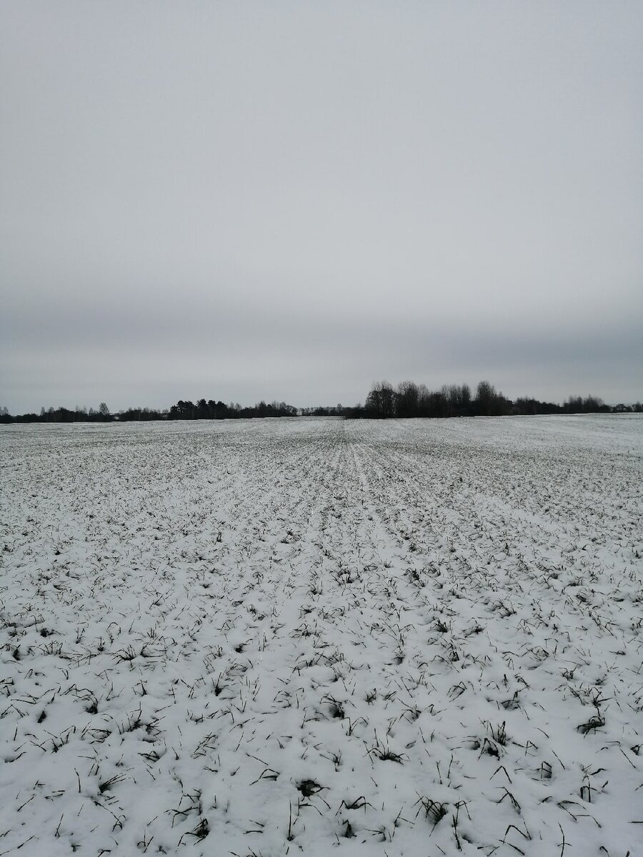 Предстоящий фронт работ.