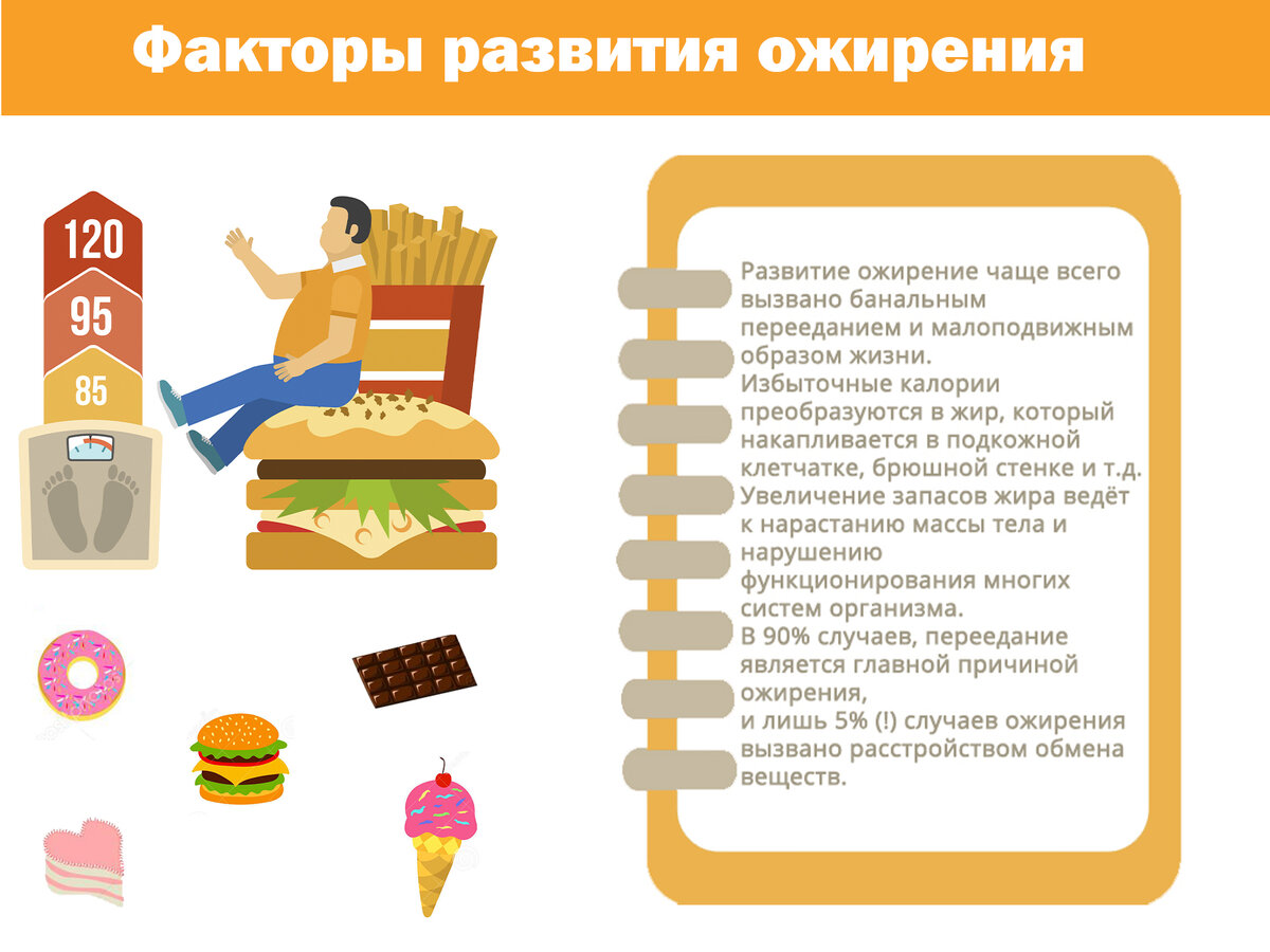 Факторы развития ожирения. Изображение из архива автора