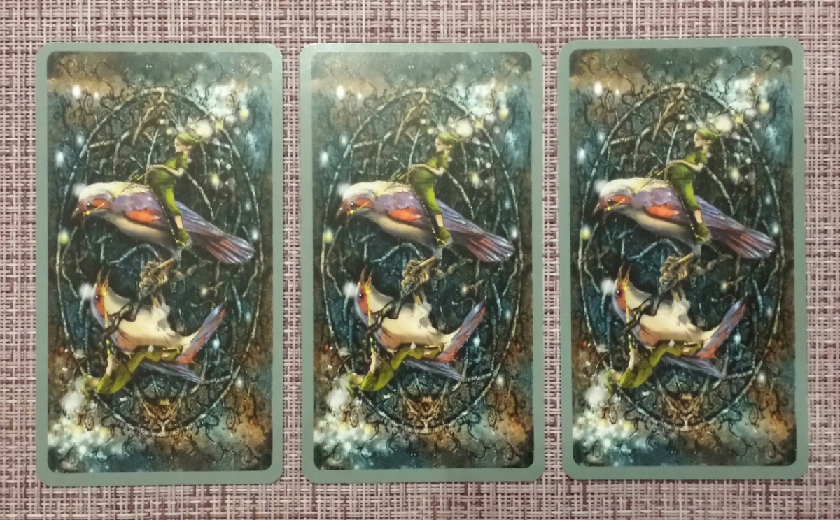 Выбор варианта: 1, 2, 3