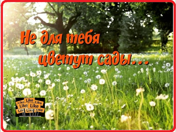 Поллиноз
