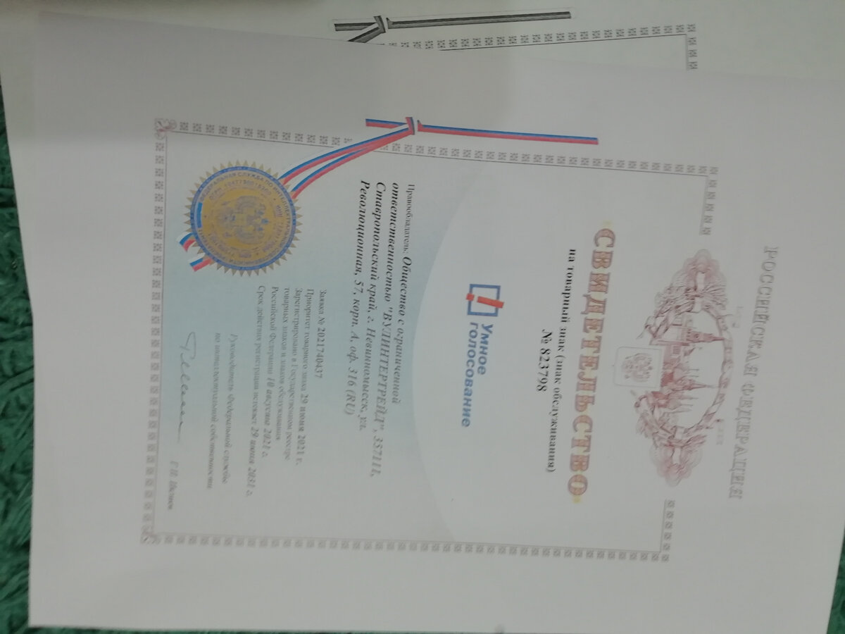 умное голосование знак