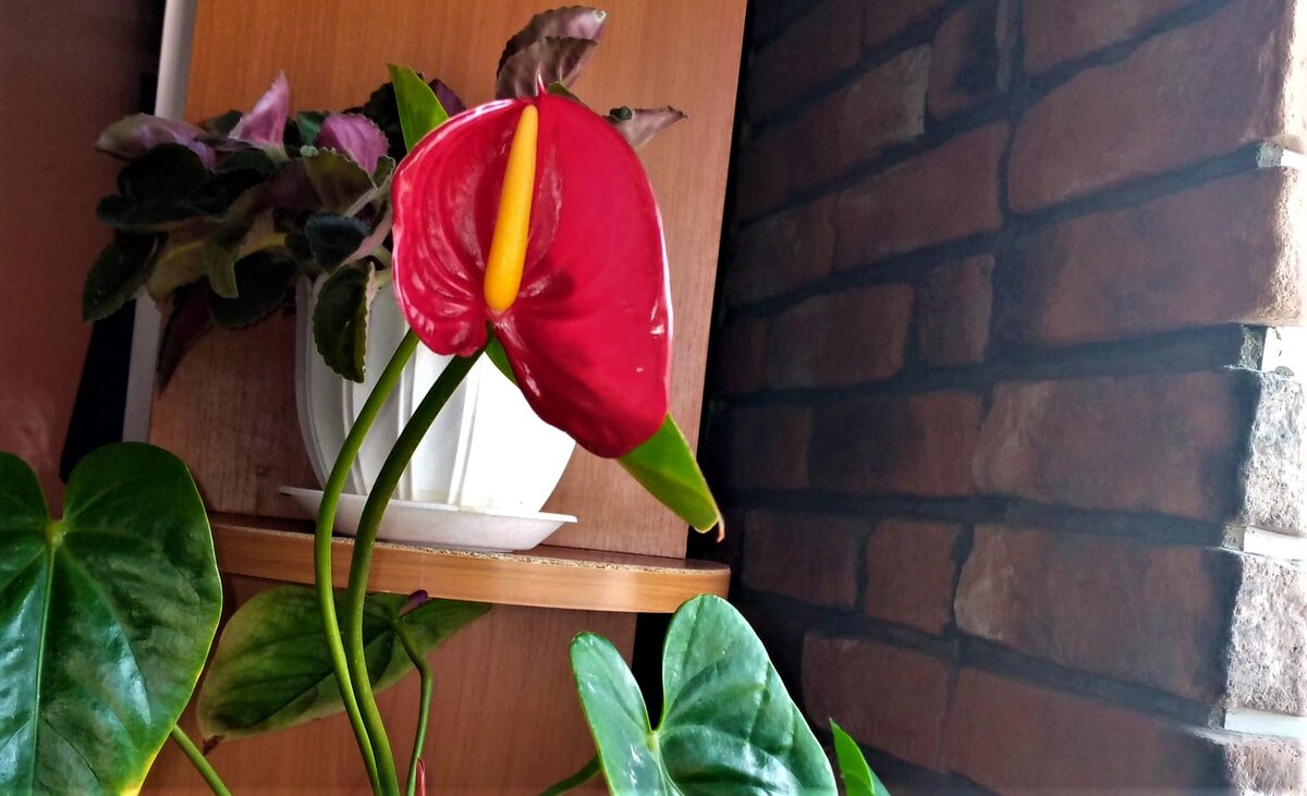 Работа О. Камаловой.