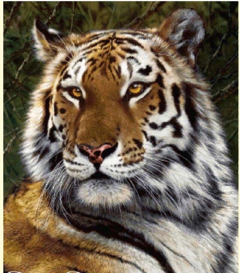 Красавец же!