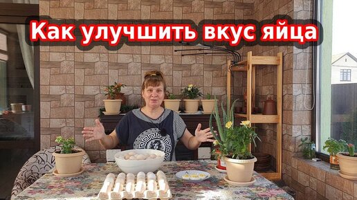 Как улучшить вкус яйца, что добавить, а что убрать из корма