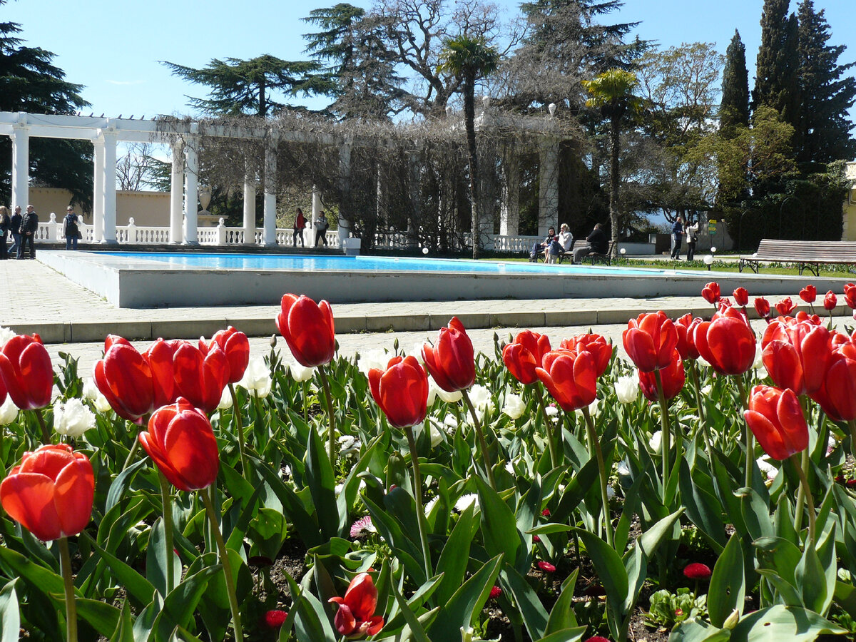 Никитский ботанический сад/фото автора