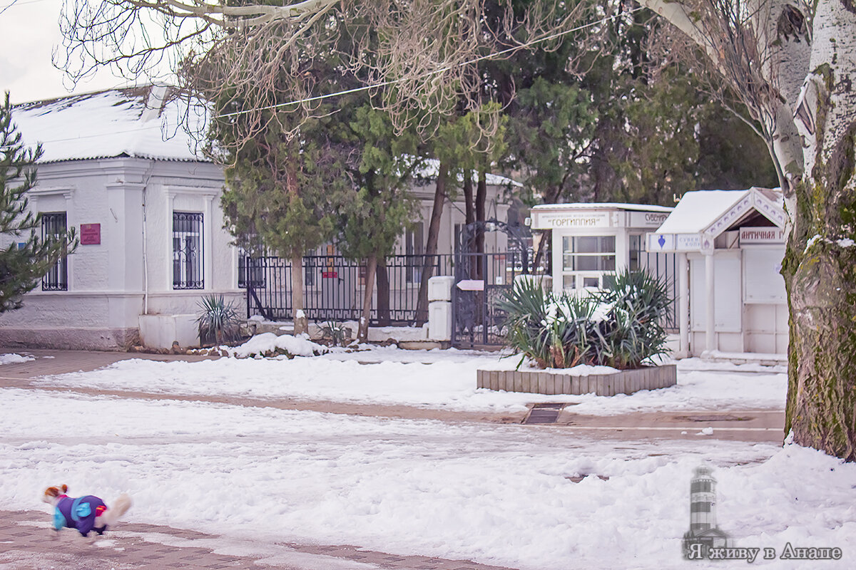 Сегодня седьмой день снежной зимы в Анапе, что происходит в городе | Я живу  в Анапе | Дзен