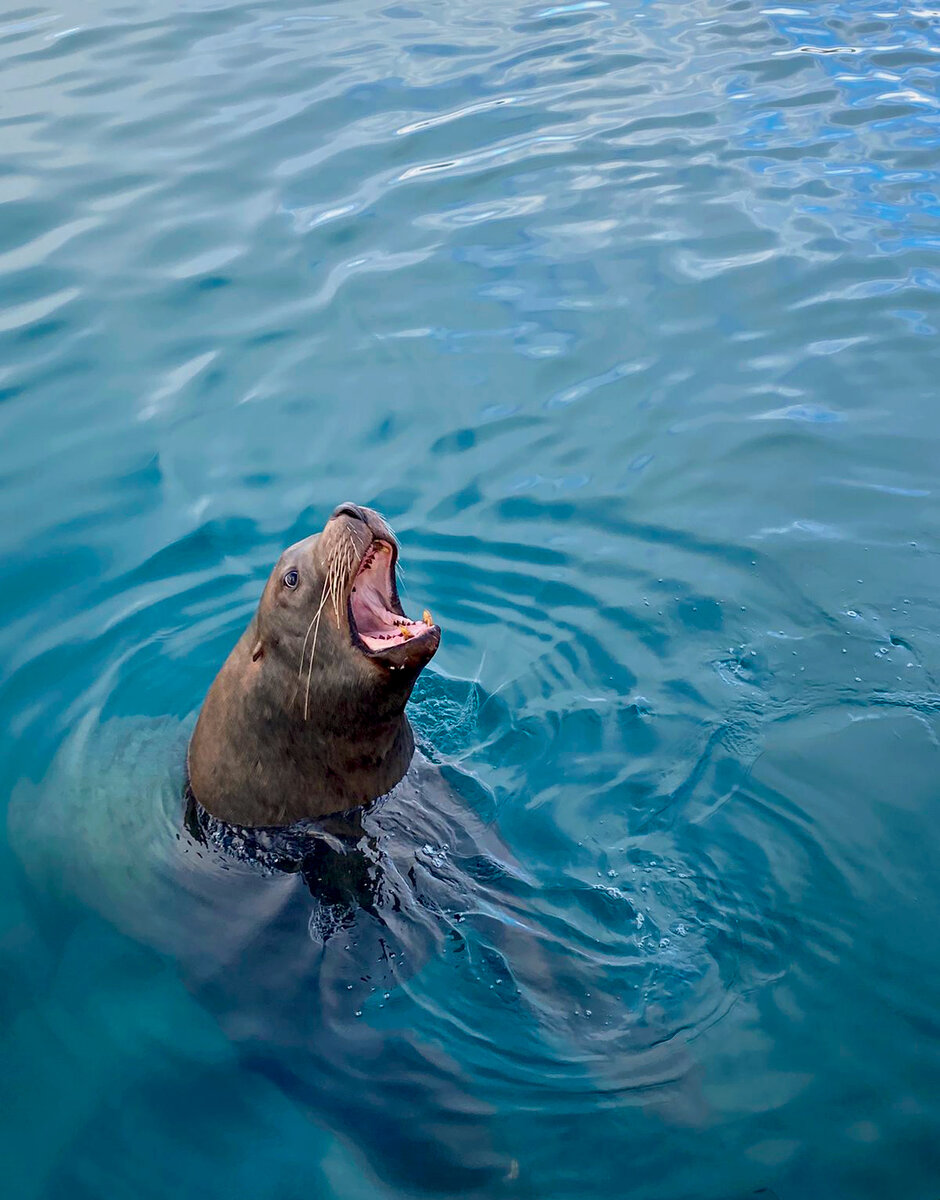 Фото: https://www.instagram.com/mironov.travel