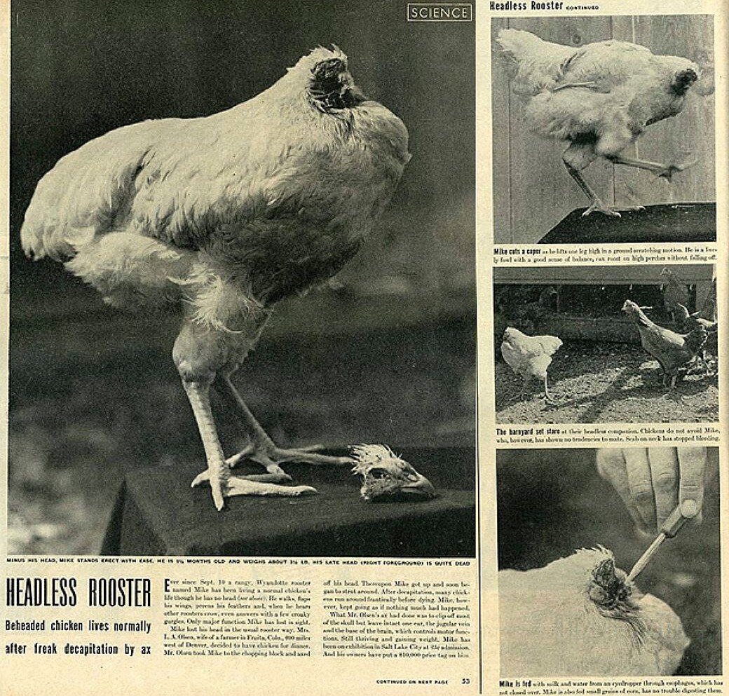 Пресса, как всегда, оперативна. Газета 1945 года. (фото из открытых источников)