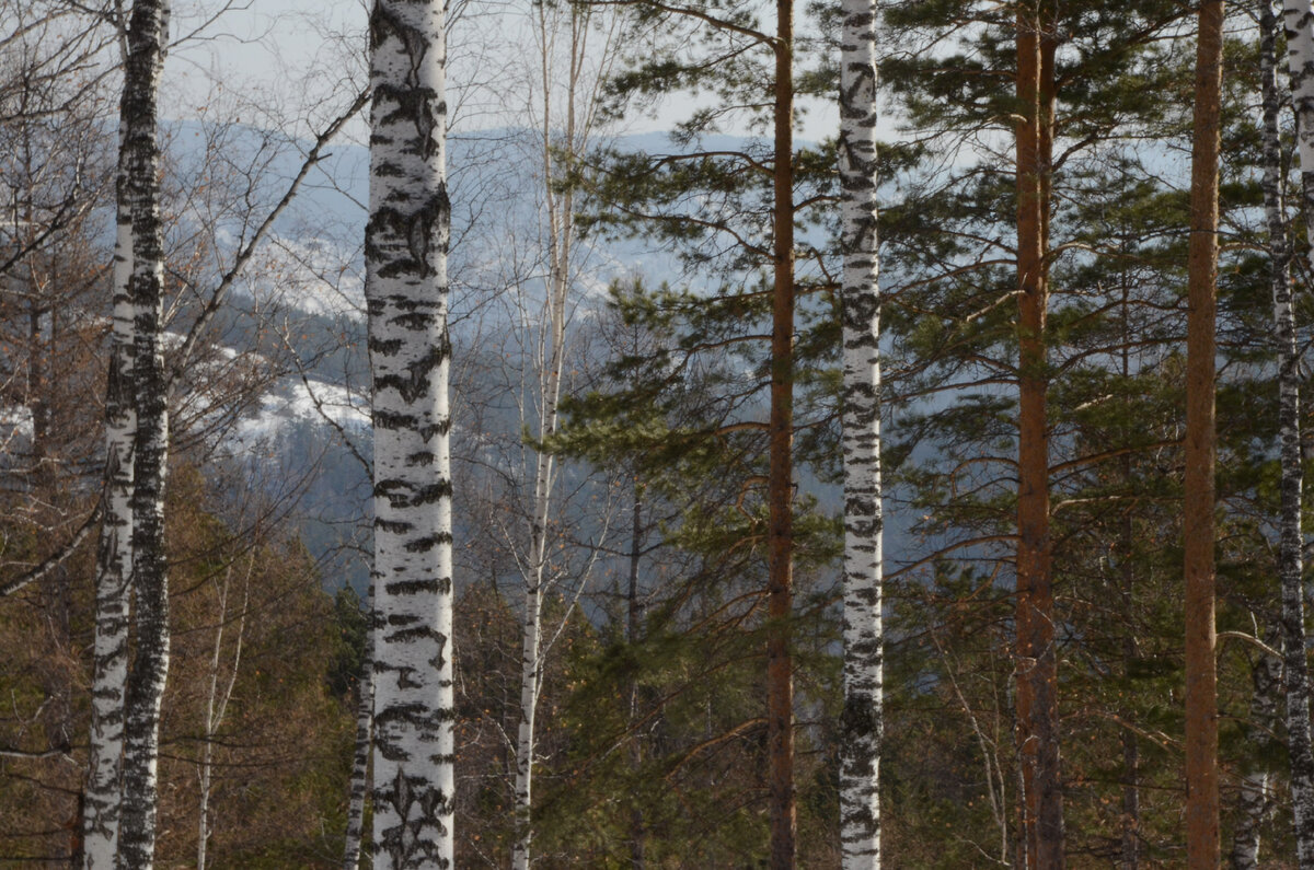 Завтра будет весна (авторские варианты 16-го задания ЕГЭ по русскому ...