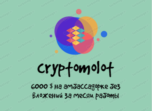 https://t.me/molotcrypto