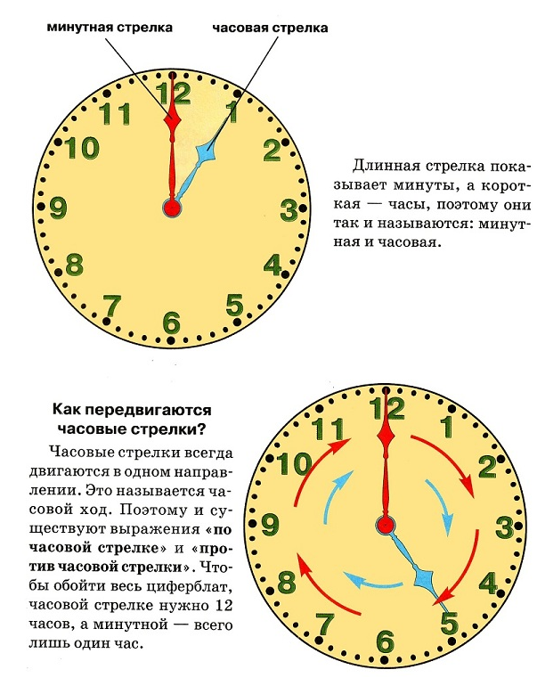 Буду знать какое время. Научить ребенка определять время по часам циферблат. Как правильно узнавать время по часам. Как определять время на механических часах. Как научиться определять время по часам.