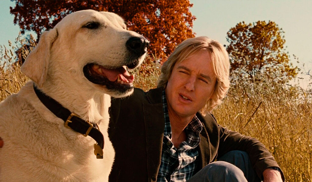 Кадр из фильма "Марли и я"